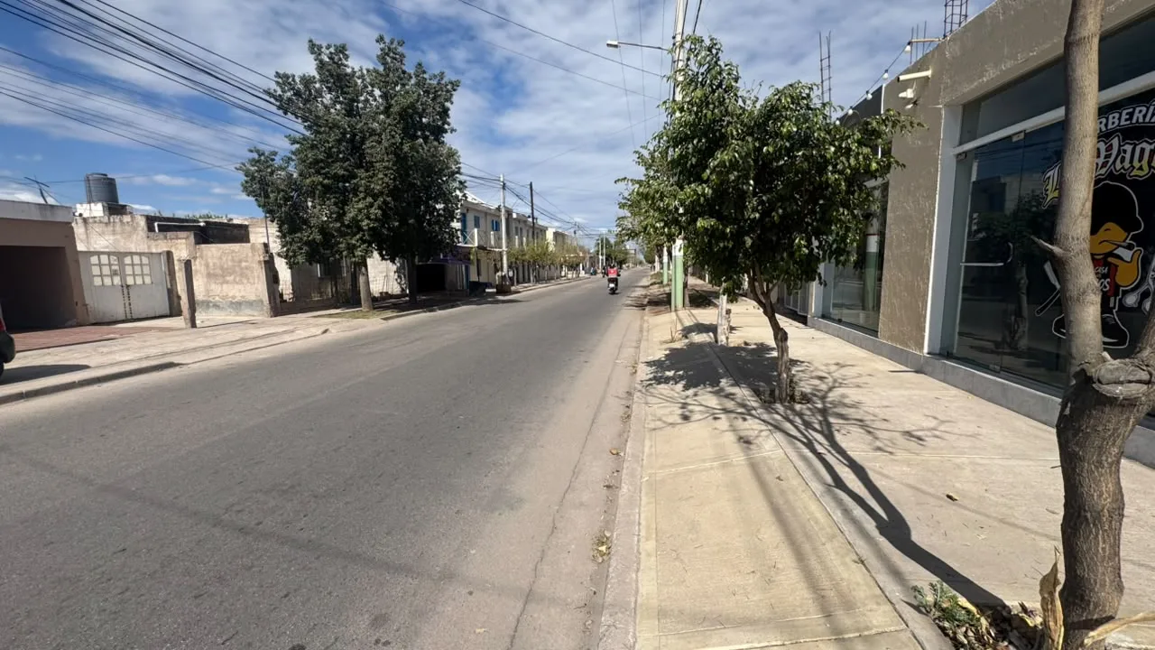 LOCAL COMERCIAL/A ESTRENAR — foto 8