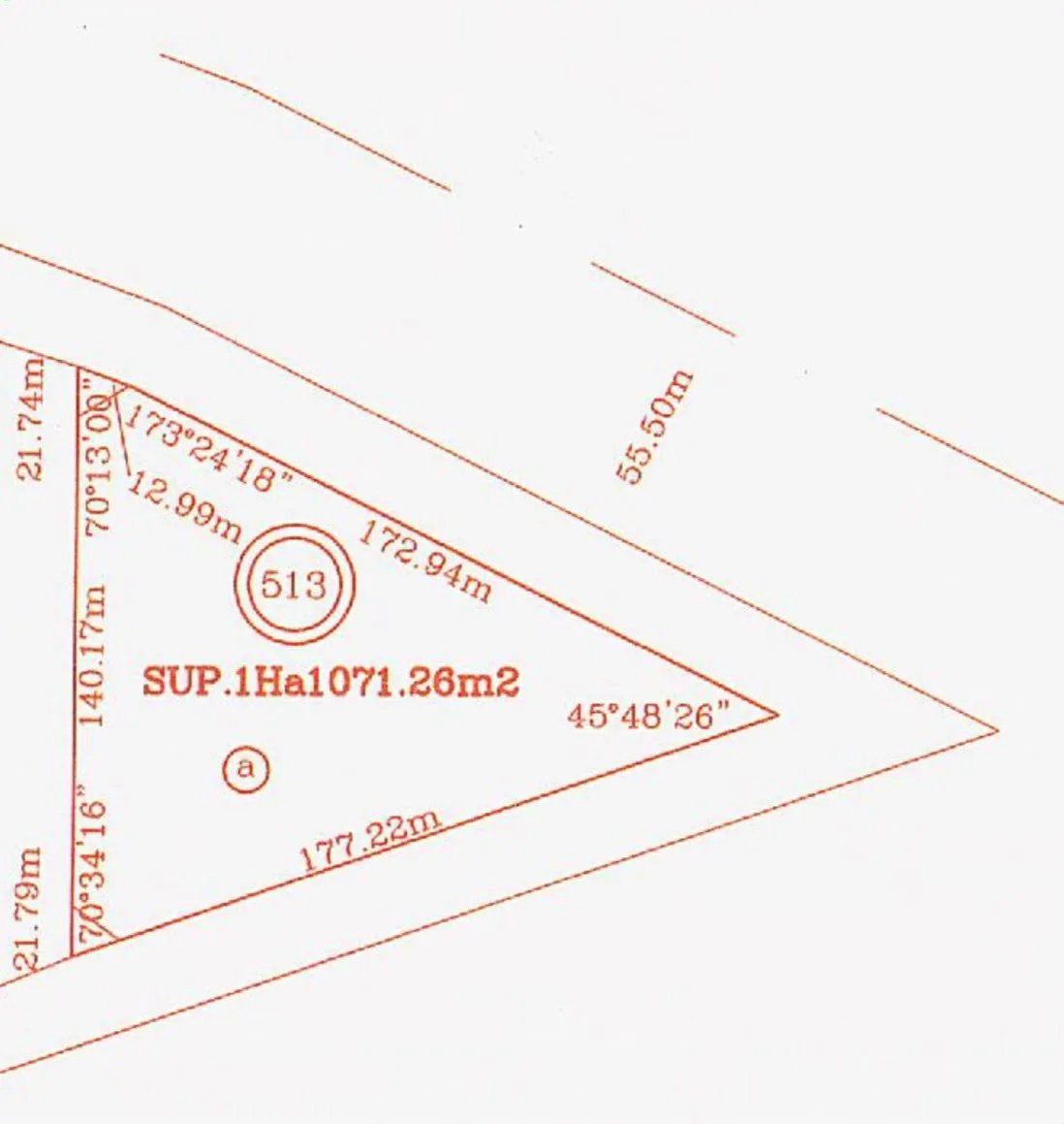 VENDE LOTE/RUTA 5 — foto 2